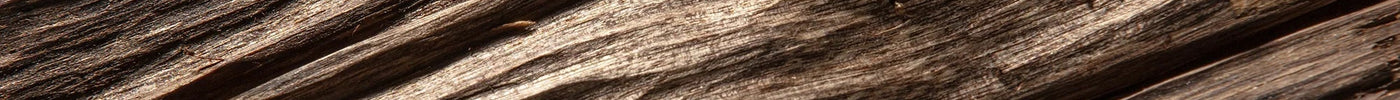 What is Oud? Unveiling the Enigmatic Scent Everyone's Talking About